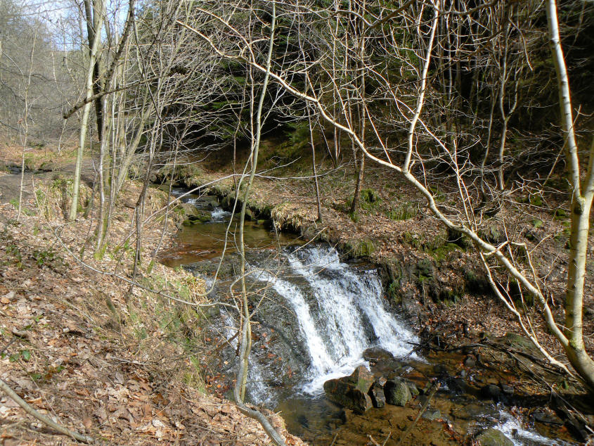 Beeley Brook Beeley Brook